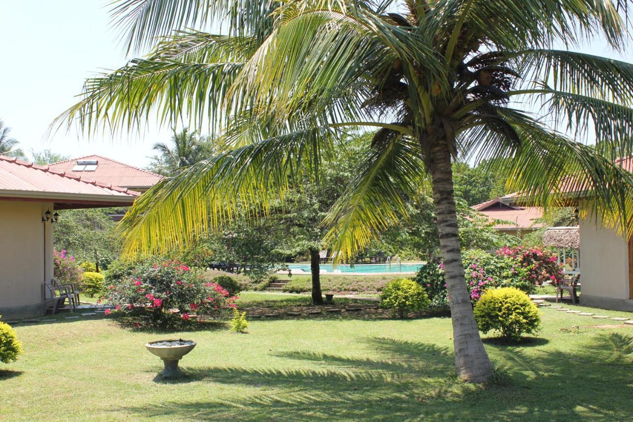 Hibiscus Garden Hotel Tissamaharama Εξωτερικό φωτογραφία