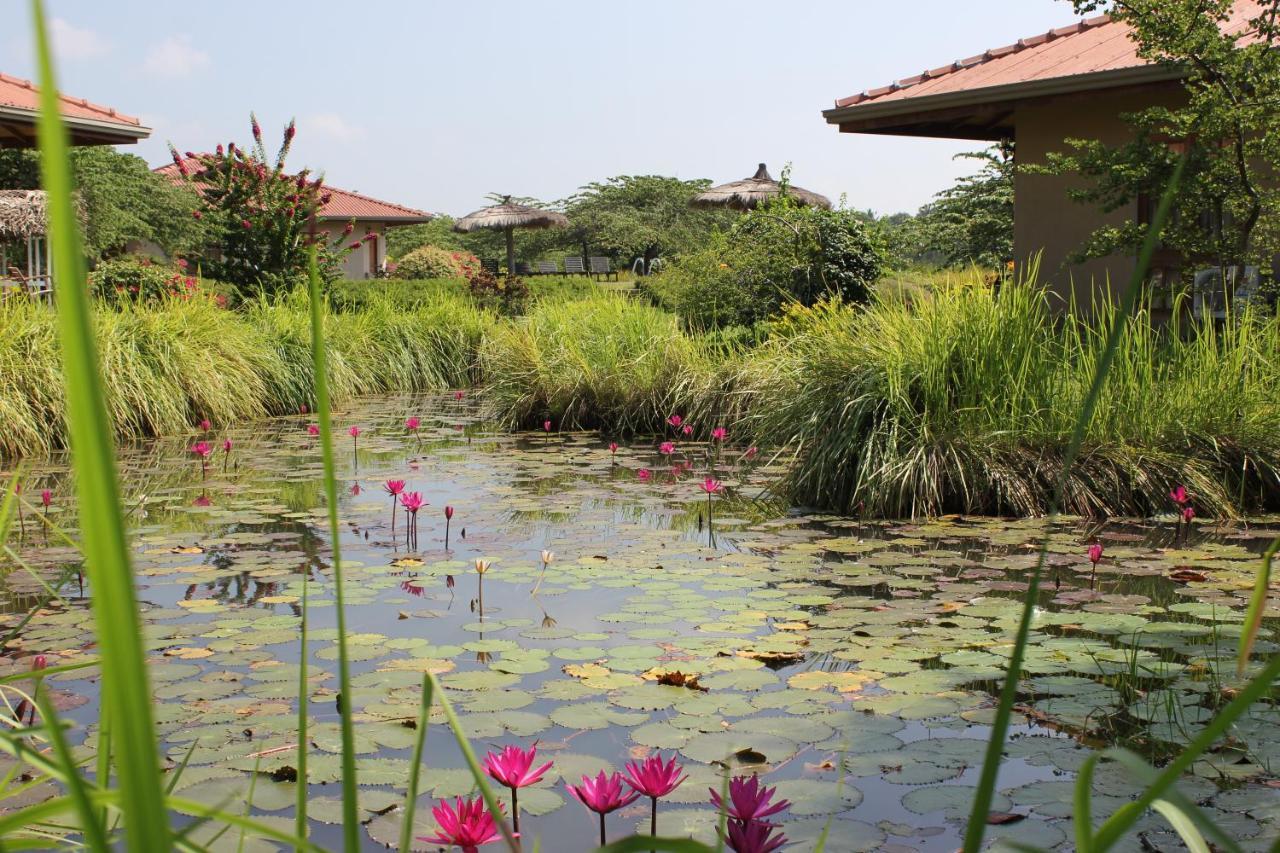 Hibiscus Garden Hotel Tissamaharama Εξωτερικό φωτογραφία