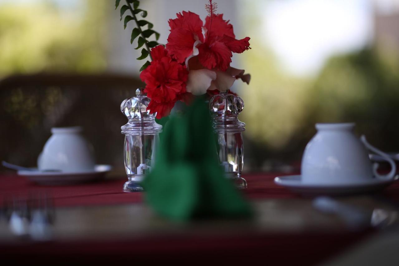 Hibiscus Garden Hotel Tissamaharama Εξωτερικό φωτογραφία