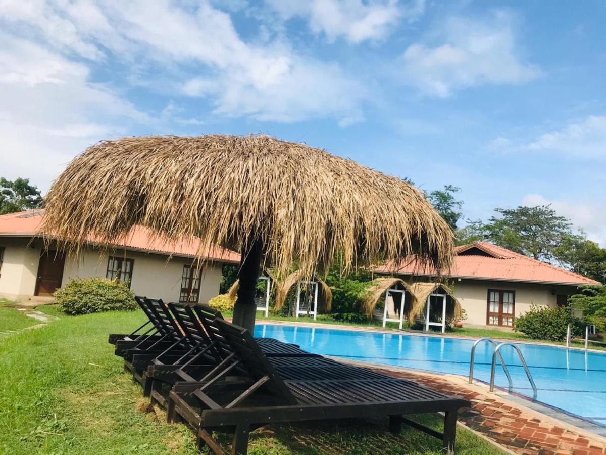 Hibiscus Garden Hotel Tissamaharama Εξωτερικό φωτογραφία